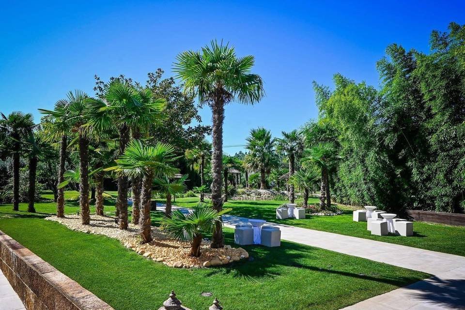 quinta das oliveiras
